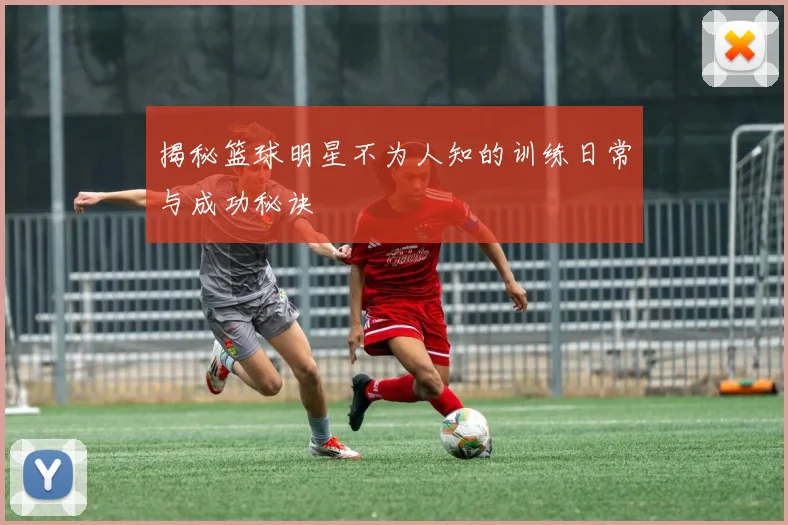 揭秘篮球明星不为人知的训练日常与成功秘诀